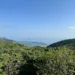 靜心_大嶼山